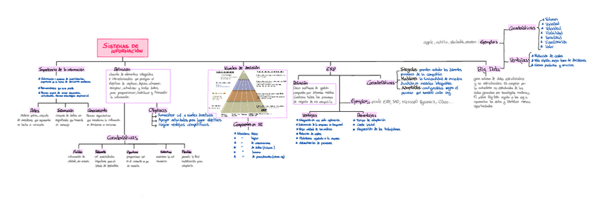 Miniatura del documento Parcial-2-resumen-Sistemas-de-la-informacion.pdf