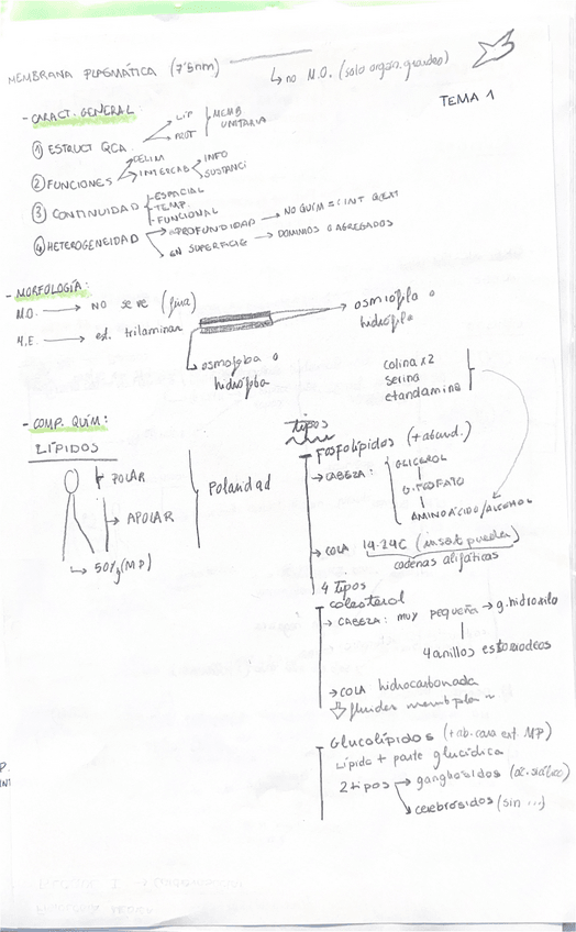 Miniatura del documento TEMA 1- La membrana plasmática.pdf