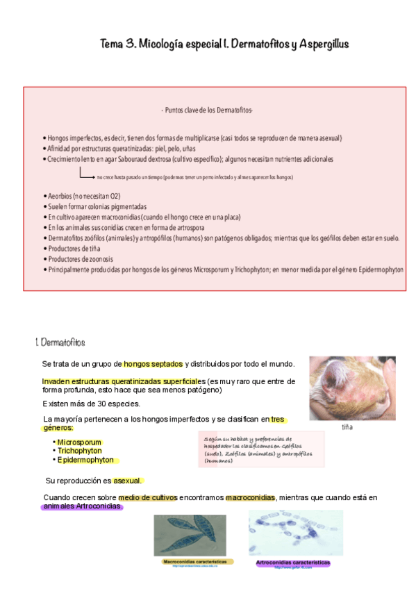Miniatura del documento Tema-3.pdf