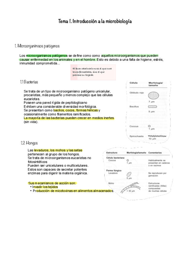 Miniatura del documento Tema-1.-Introduccion-a-la-microbiologia.pdf