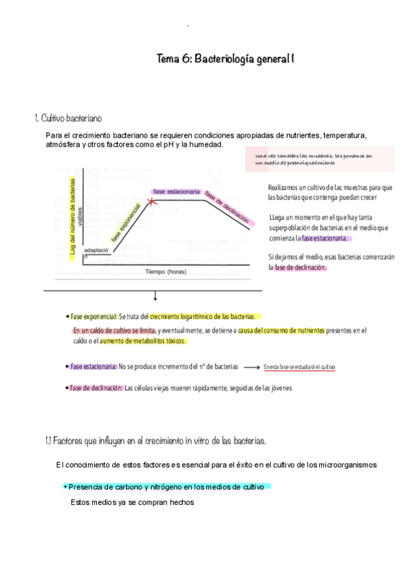 Miniatura del documento Tema-6.-Bacteriologia-general-I.pdf