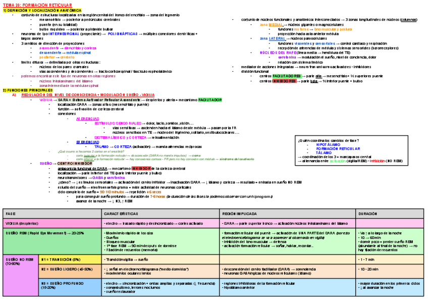 Miniatura del documento ESQUEMA-TEMA-20-ANATO-III.pdf