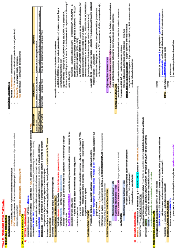 Miniatura del documento ESQUEMA-TEMA-23-FISIO-III.pdf