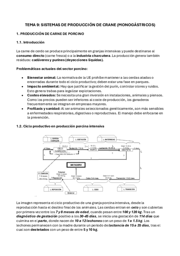 Miniatura del documento TEMA-9.-PRODUCCION-DE-CARNE-MONOGASTRICOS.pdf