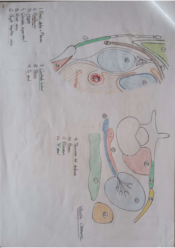 Miniatura del documento SEMINARIO-UROGENITAL.pdf