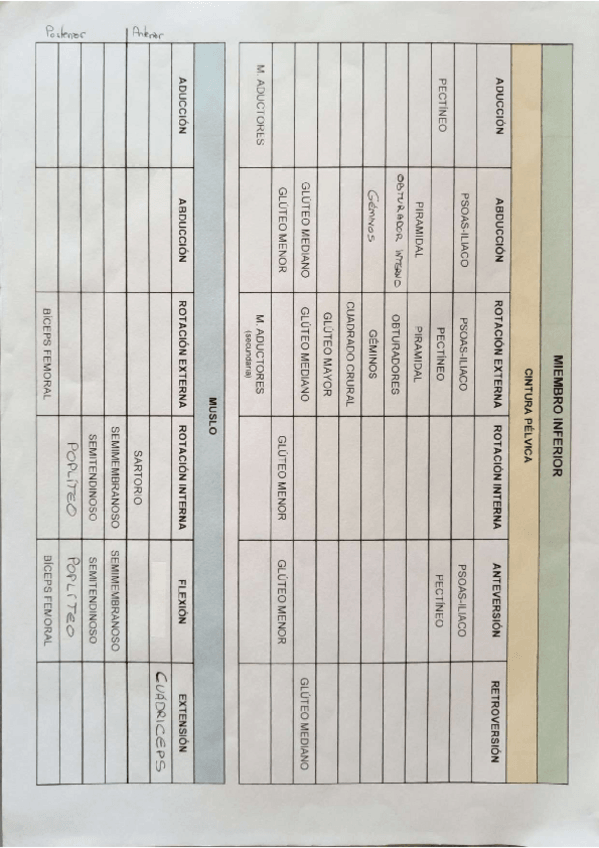 Miniatura del documento TABLA-RESUMEN.pdf