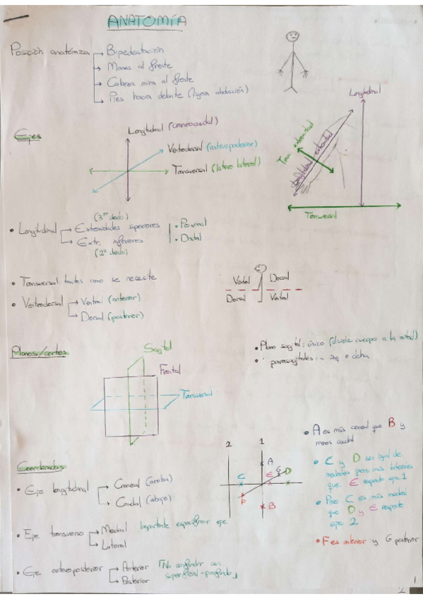 Miniatura del documento INTRODUCCION.pdf