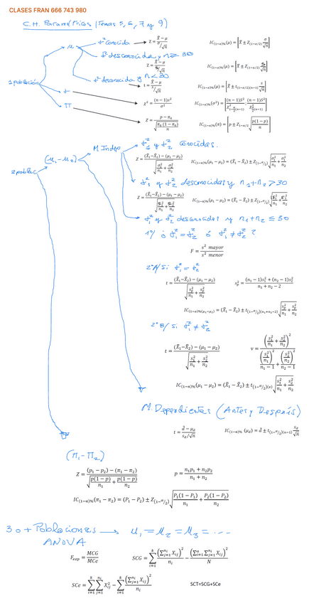 Miniatura del documento ESQUEMA-ELECCION-CH-2oPARCIAL.pdf