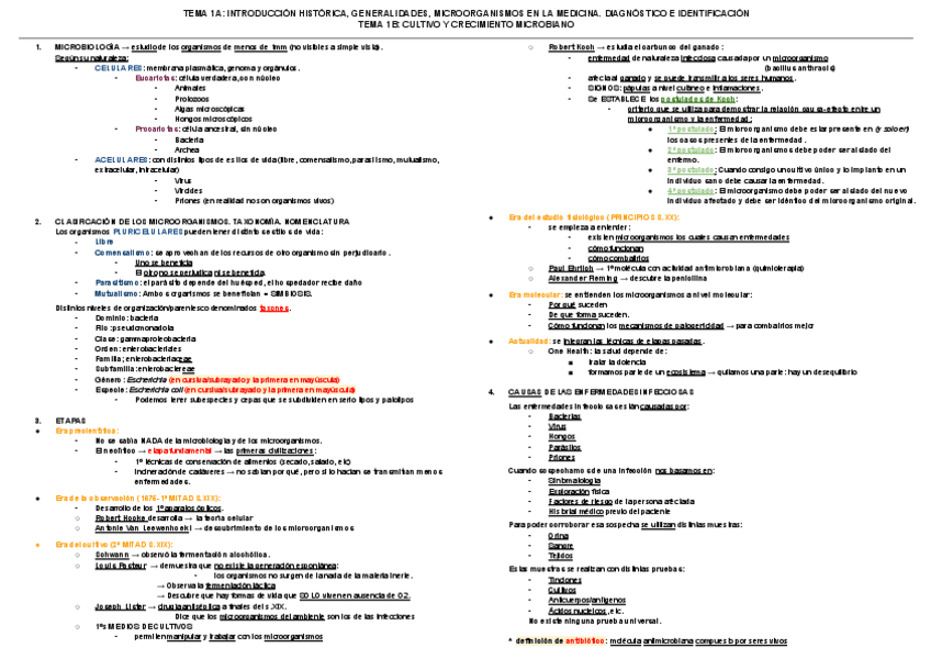 Miniatura del documento esquema-TEMA-1-micro.pdf