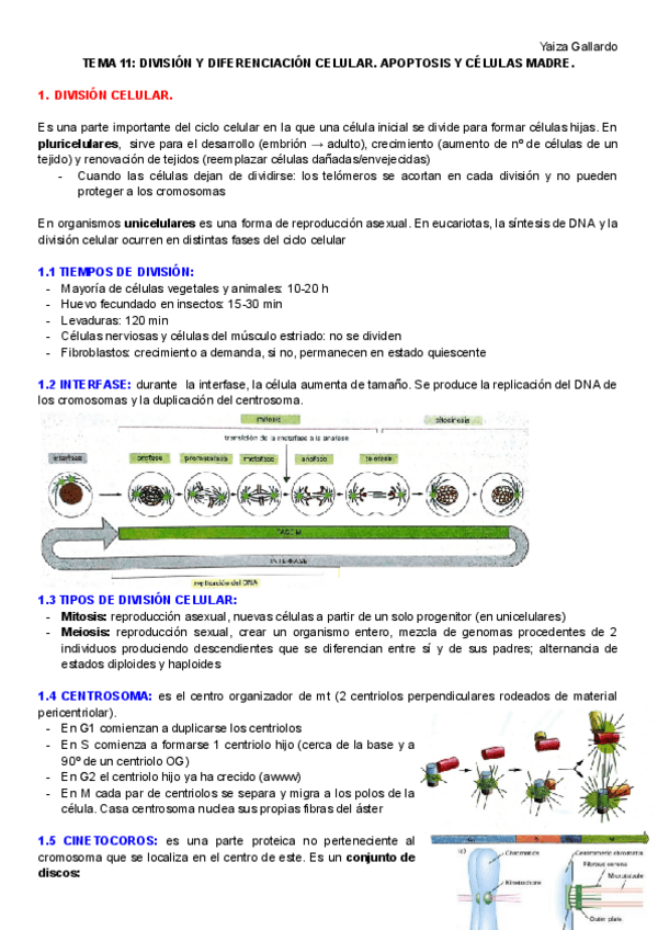 Miniatura del documento TEMA-11.pdf