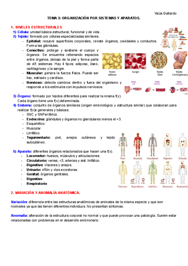 Miniatura del documento TEMA-3-y-4.pdf