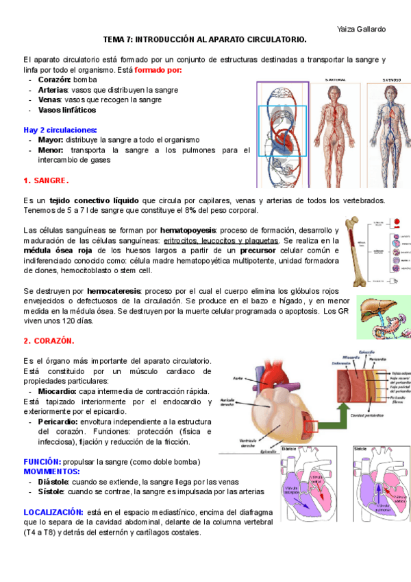 Miniatura del documento TEMA-7-y-8.pdf