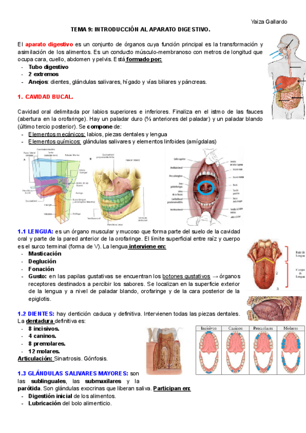 Miniatura del documento TEMA-9-y-10.pdf