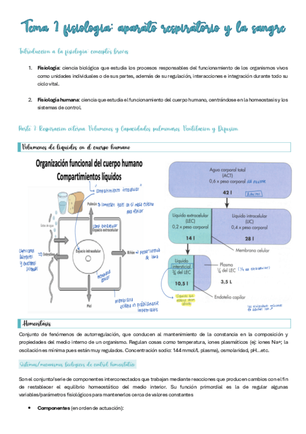 Miniatura del documento fisio.respiratorio.pdf