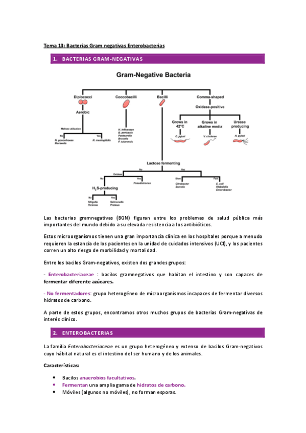 Miniatura del documento T.13.pdf