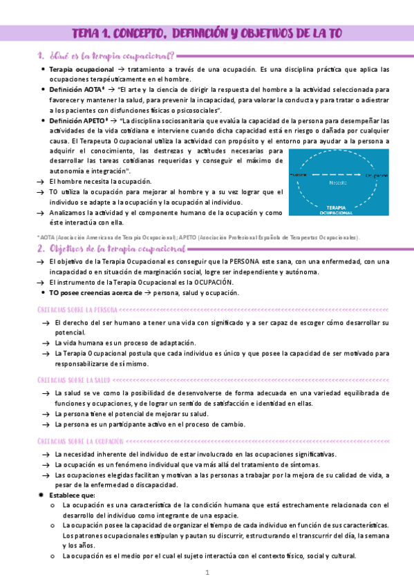 Miniatura del documento Apuntes-Tema-1-Fundamentos-TO.pdf
