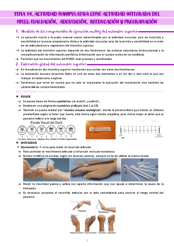 Miniatura del documento Apuntes-Tema-14-Fundamentos-TO.pdf