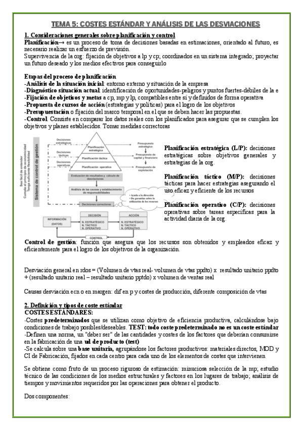Miniatura del documento TEMA-5-COSTES.pdf