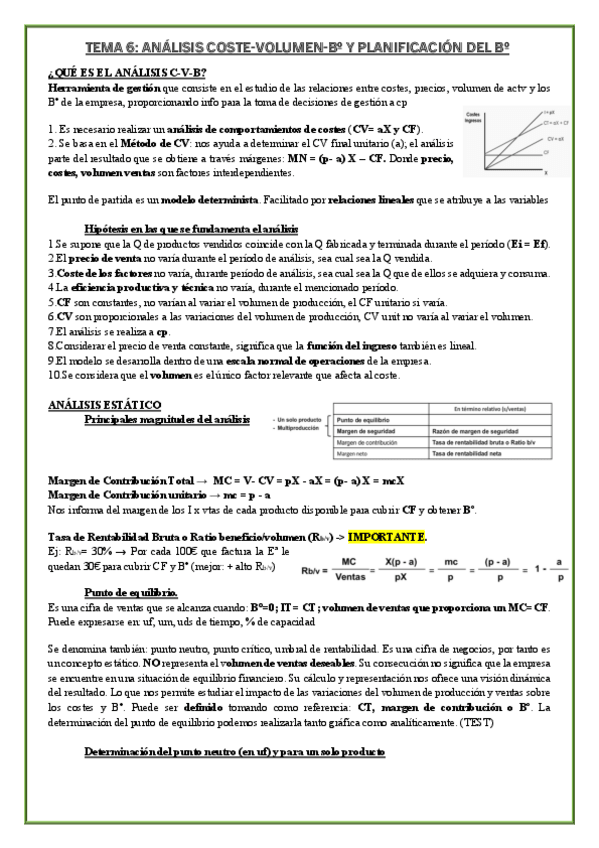 Miniatura del documento TEMA-6-COSTES.pdf