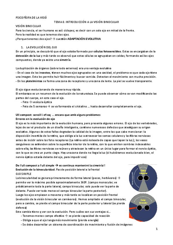 Miniatura del documento PSICOFISIFA-DE-LA-VISIOapuntes-1ERC.pdf