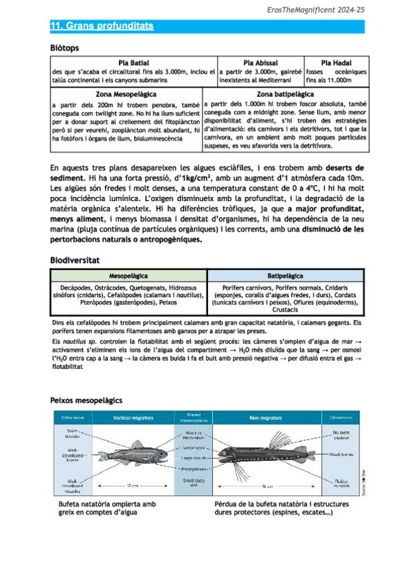 Miniatura del documento Ciencies-del-Mar-Tema-11-Grans-profunditats.pdf