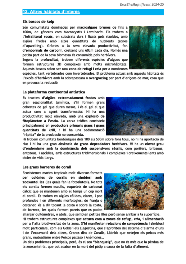 Miniatura del documento Ciencies-del-Mar-Tema-12-Altres-habitats-dinteres.pdf