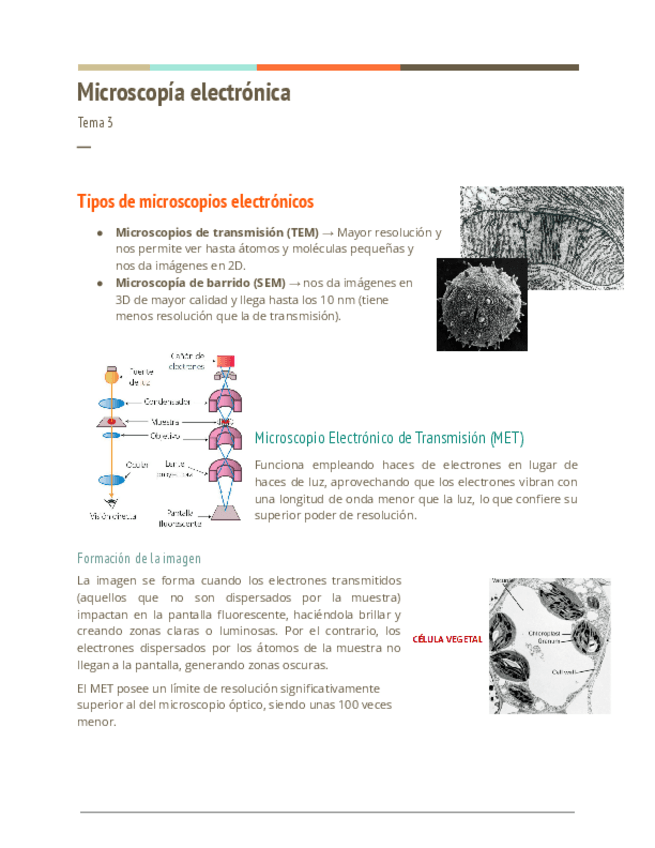 Miniatura del documento Tema-3-Biologia-Celular.pdf
