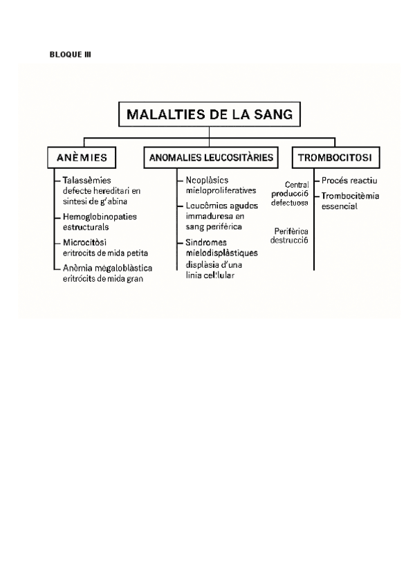 Miniatura del documento EXAMEN-FINAL-esquema-de-enfermedades.pdf