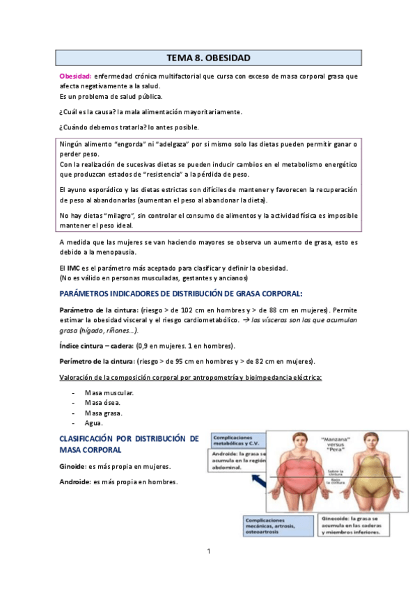 Miniatura del documento T8.-Obesidad.pdf