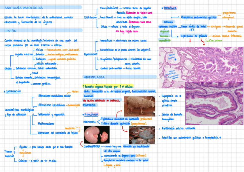 Miniatura del documento Resumenes-APG-T1-10.pdf