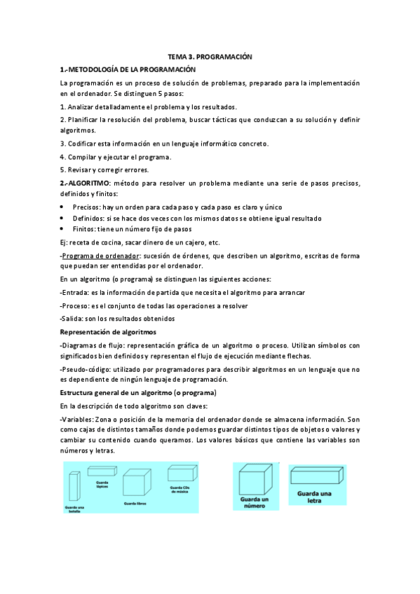 Miniatura del documento informatica-Tema-3.pdf