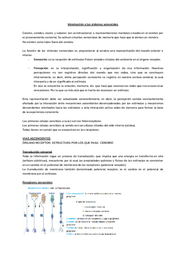 Miniatura del documento TEMA-1-PBS-Vision-.pdf
