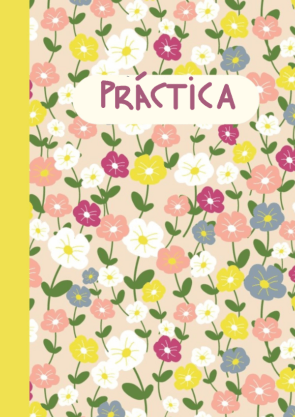 Miniatura del documento PRACTICA-TEMA-3-y-4.pdf