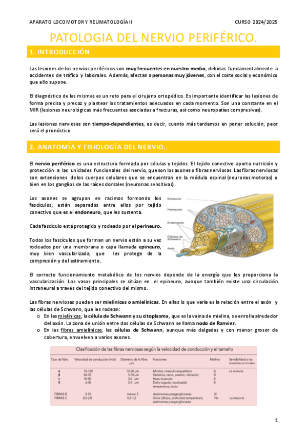 Miniatura del documento Patologia-del-nervio-periferico.pdf