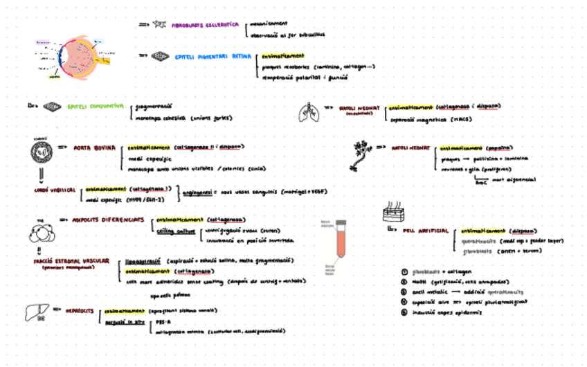 Miniatura del documento esquema-aillament-cell-t4.pdf