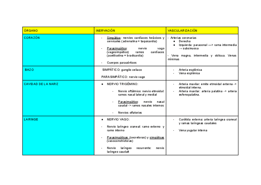 Miniatura del documento INERVACION-Y-VASCULARIZACION-VISCERAS.pdf