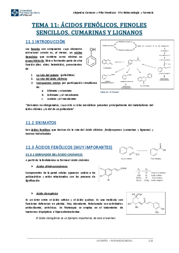 Miniatura del documento Tema-11-FARMACOGNOSIA.pdf