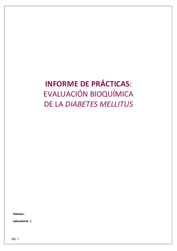 Miniatura del documento Informe-de-practicas.pdf