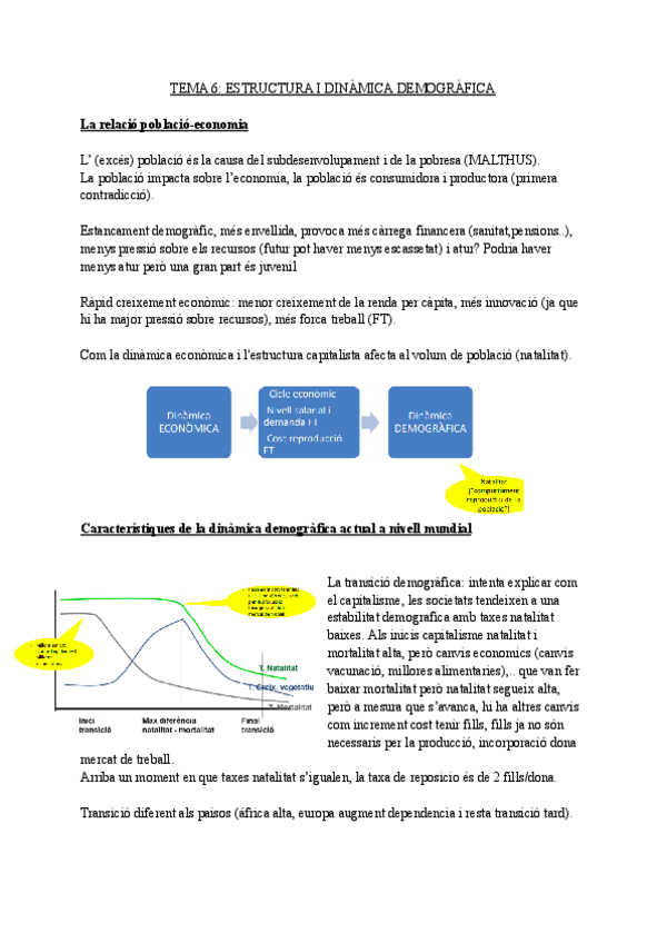 Miniatura del documento TEMA-6-ESTRUCTURA-I-DINAMICA-DEMOGRAFICA.pdf