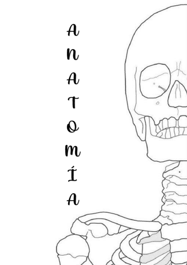 Miniatura del documento Tema-01-introduccion-a-la-anatomia.pdf