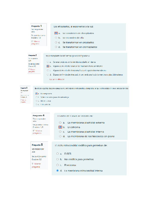 Miniatura del documento TEST-MITOCONDRIAS-CLOROPLASTOS-Y-PEROXISOMAS.pdf