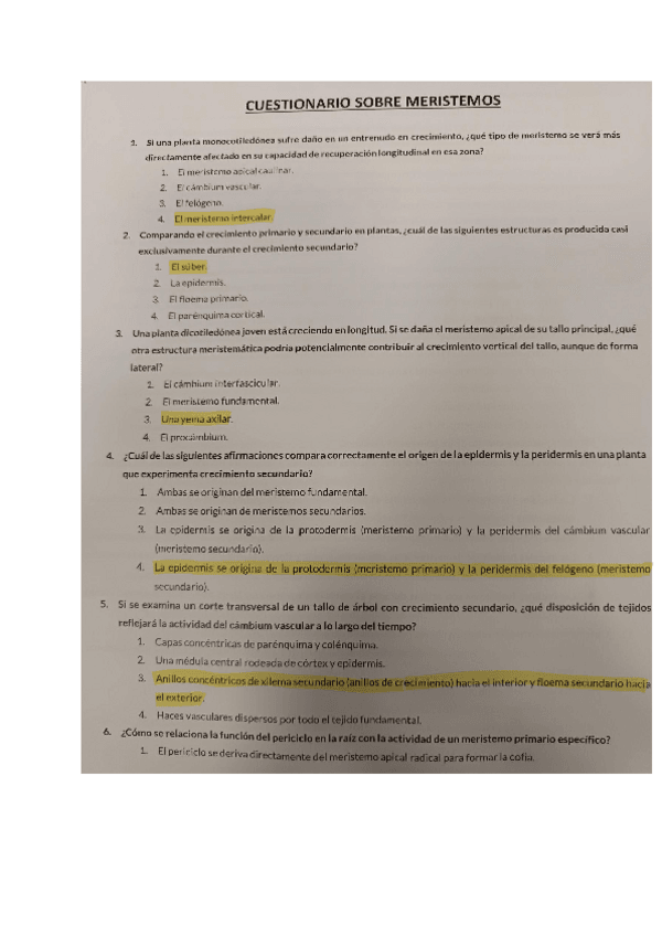 Miniatura del documento TEST-MERISTEMOS.pdf