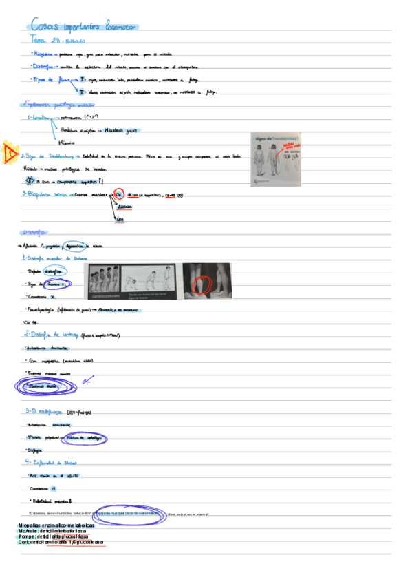 Miniatura del documento Locomotor.pdf