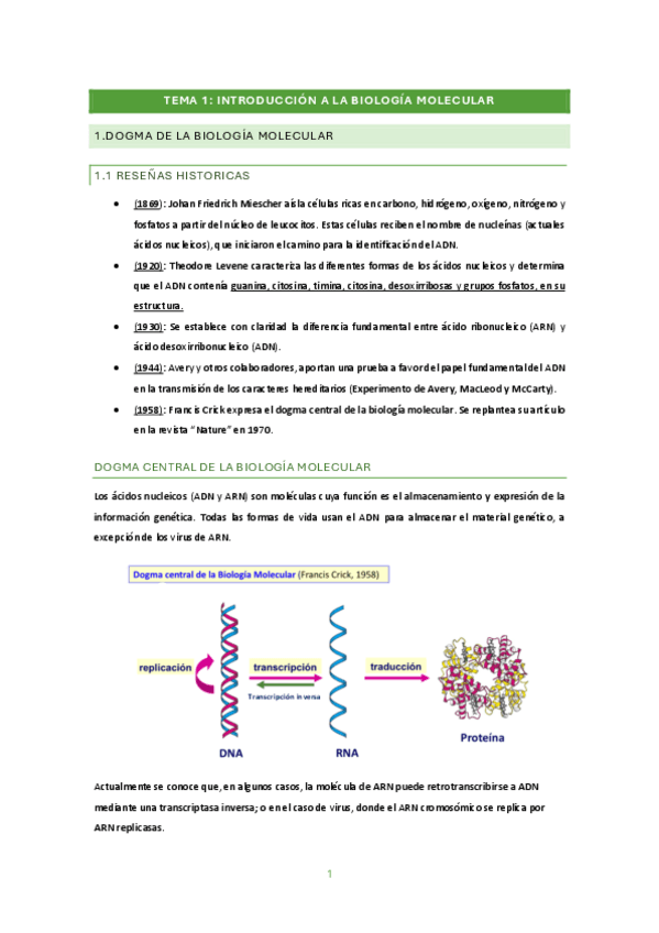 Miniatura del documento BM-TEMA-1.pdf