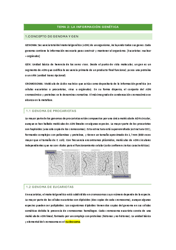Miniatura del documento BM-TEMA-2.pdf