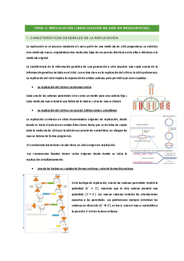 Miniatura del documento BM-TEMA-3.pdf