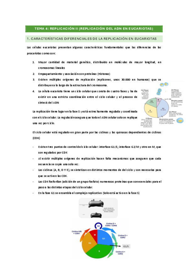 Miniatura del documento BM-TEMA-4.pdf
