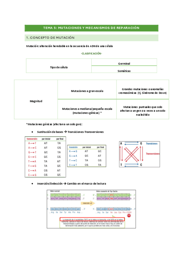 Miniatura del documento BM-TEMA-5.pdf