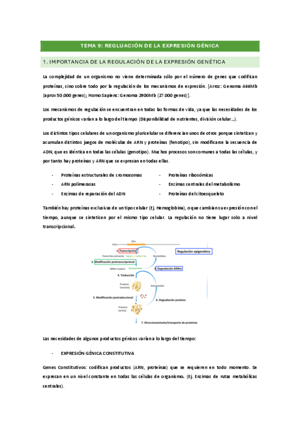 Miniatura del documento BM-TEMA-9.pdf