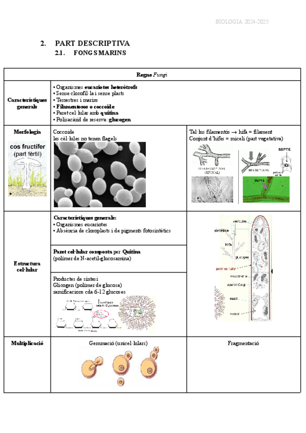 Miniatura del documento 2.-PART-DESCRIPTIVA-COMPLETA.pdf